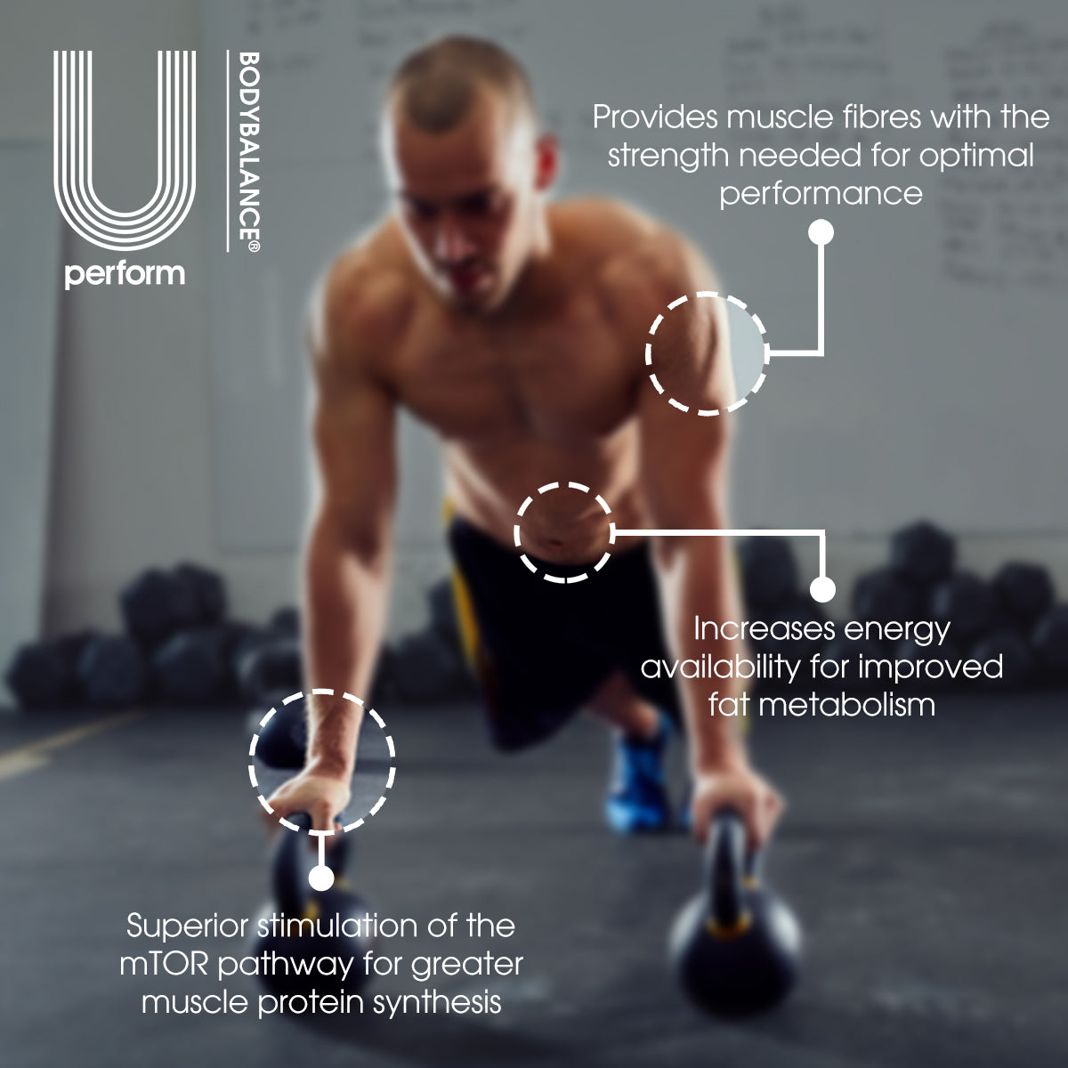 Active Whey & Collagen