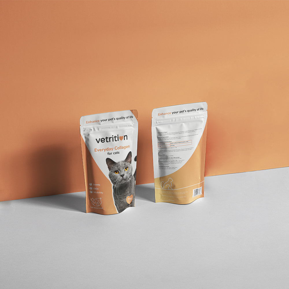 Everyday Collagen for cats